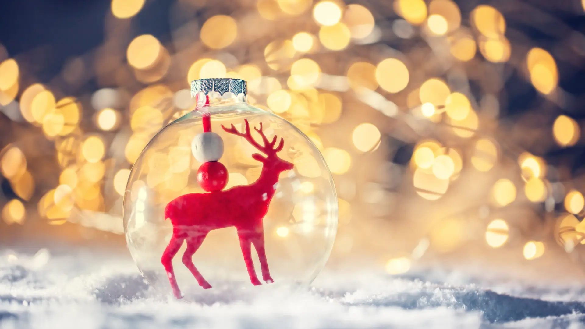 Zauberhafte Weihnachtstage in Kärnten Zauberhafte Weihnachtstage in Kärnten