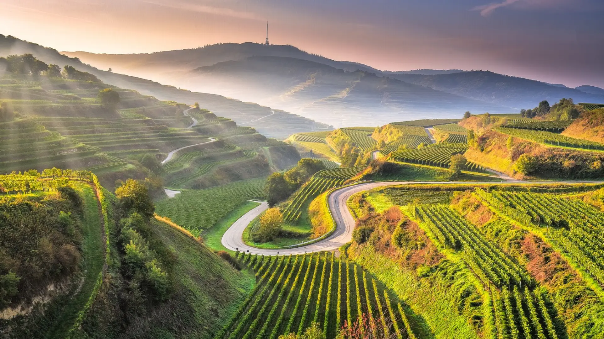 zu Gast am Kaiserstuhl-Markgräflerland