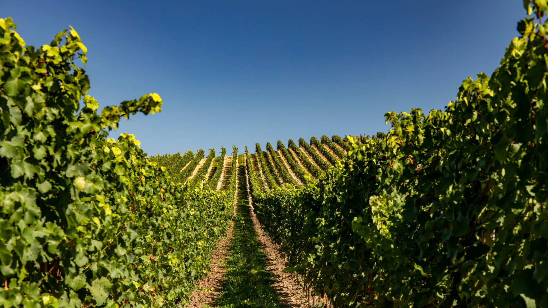 Zu Gast in der Pfalz