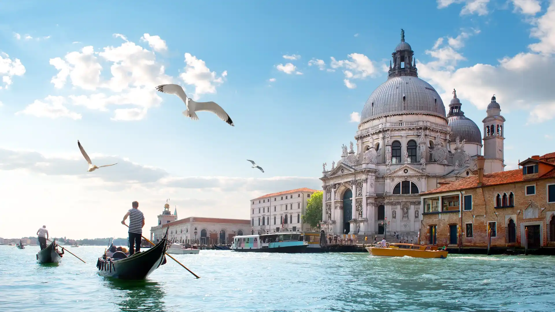 Frühlingsträume am Golf von Venedig Frühlingsträume am Golf von Venedig